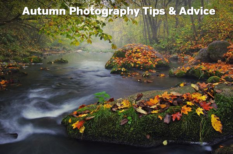 Autumn Photography Tips & Advice