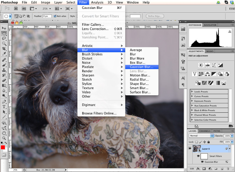 Introduction to the Gaussian Blur Filter in Photoshop