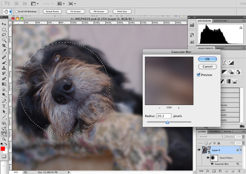 Introduction to the Gaussian Blur Filter in Photoshop