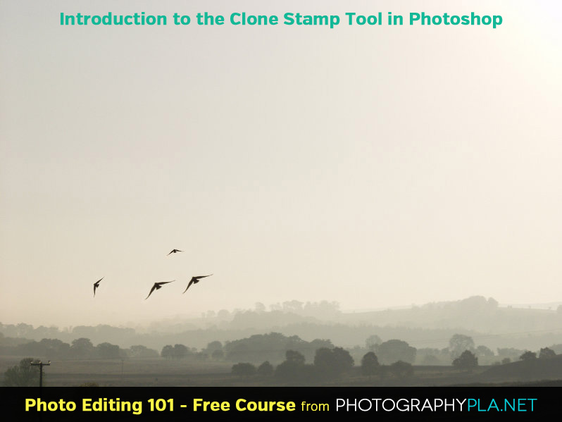 Introduction to the Clone Stamp Tool in Photoshop