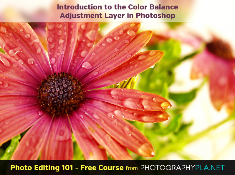 Introduction to the Color Balance Adjustment Layer in Photoshop