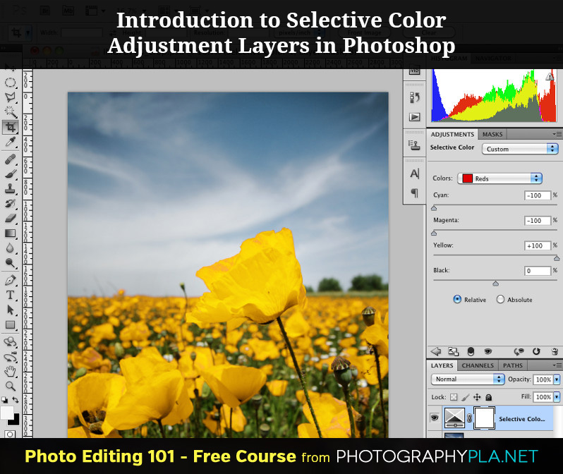 Introduction to Selective Color Adjustment Layers in Photoshop