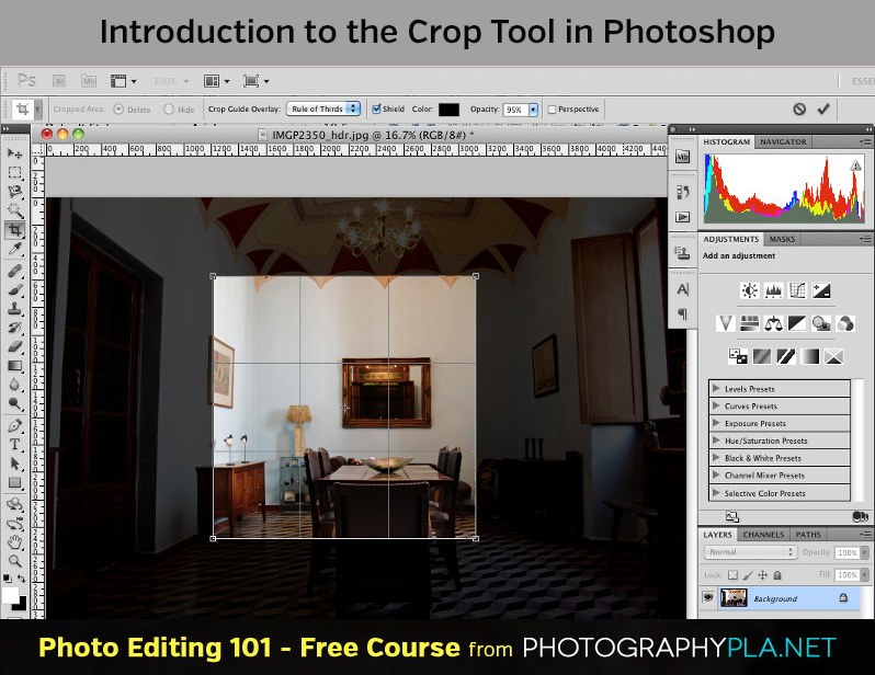 Introduction to the Crop Tool in Photoshop