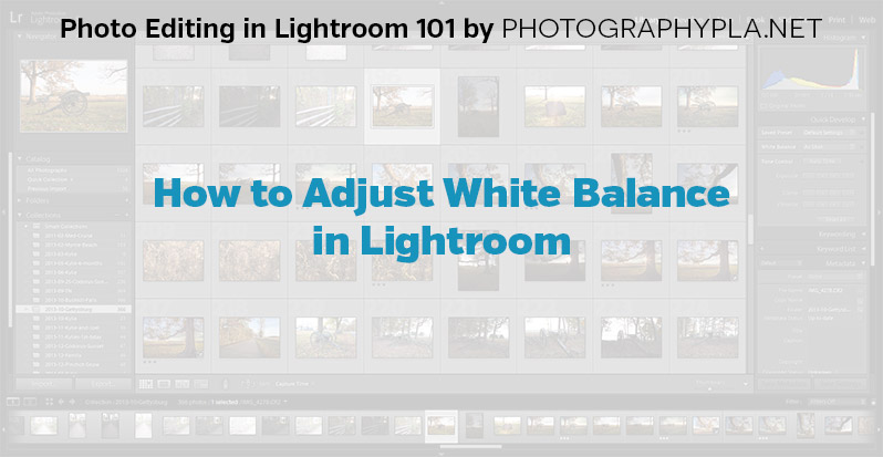 How to Adjust White Balance in Lightroom