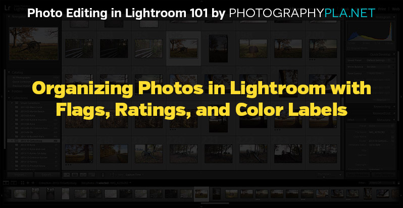 Organizing Photos in Lightroom with Flags, Ratings, and Color Labels