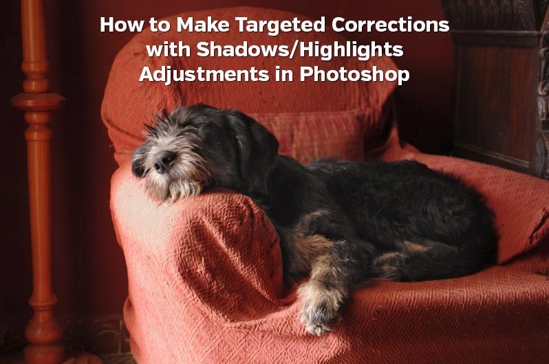 How to Make Targeted Corrections with Shadows/Highlights Adjustments in Photoshop