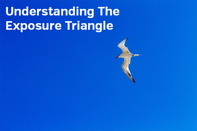 Understanding the Exposure Triangle