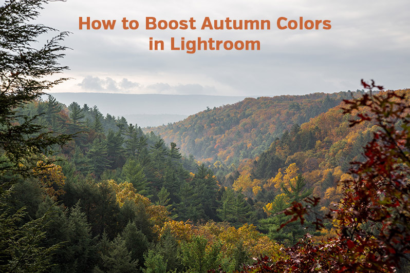 How to Boost Autumn Colors in Lightroom