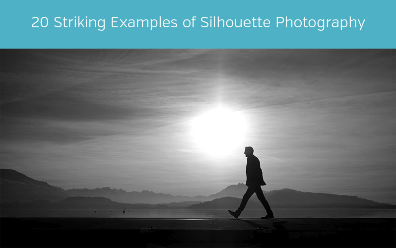 20 Striking Examples of Silhouette Photography